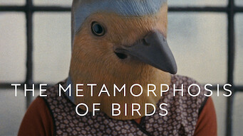 The Metamorphosis of Birds (2020)